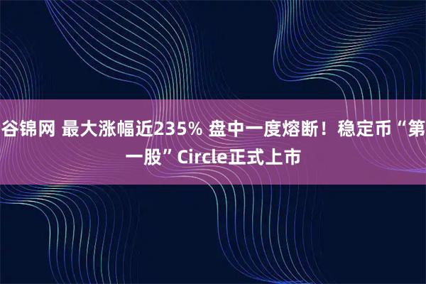 谷锦网 最大涨幅近235% 盘中一度熔断！稳定币“第一股”Circle正式上市