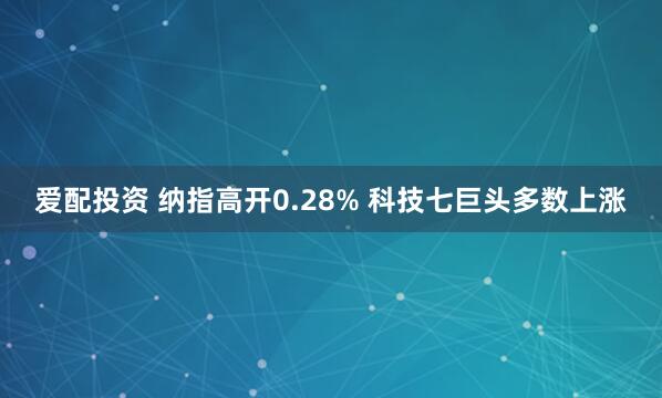 爱配投资 纳指高开0.28% 科技七巨头多数上涨