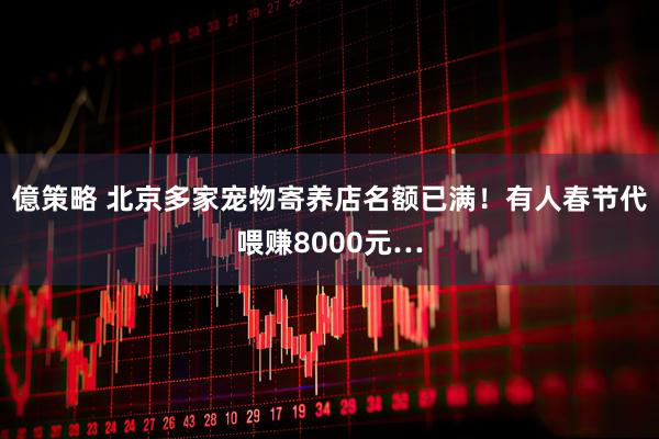 億策略 北京多家宠物寄养店名额已满！有人春节代喂赚8000元…