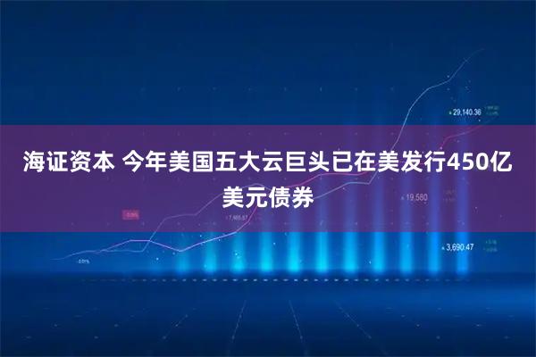 海证资本 今年美国五大云巨头已在美发行450亿美元债券