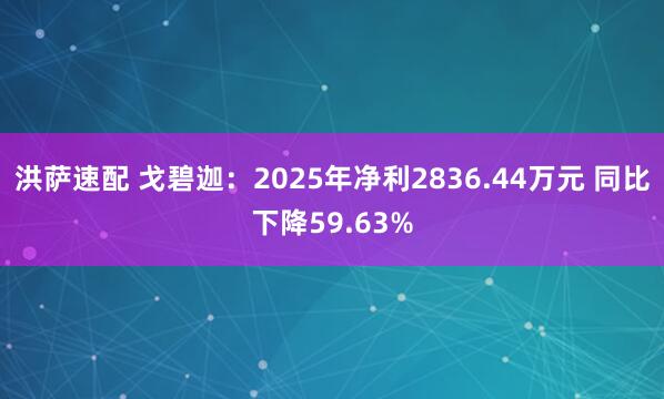 洪萨速配 戈碧迦：2025年净利2836.44万元 同比下降59.63%