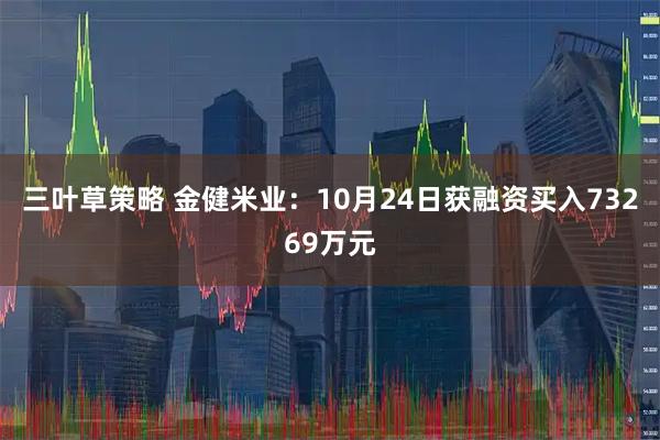 三叶草策略 金健米业：10月24日获融资买入73269万元