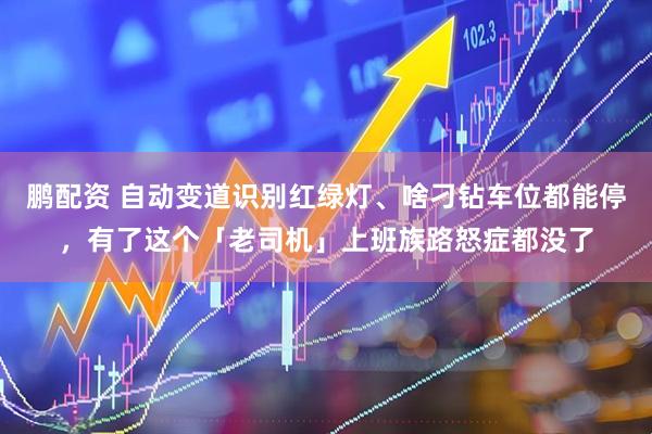 鹏配资 自动变道识别红绿灯、啥刁钻车位都能停，有了这个「老司机」上班族路怒症都没了