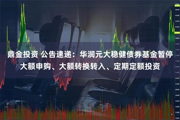 鼎金投资 公告速递：华润元大稳健债券基金暂停大额申购、大额转换转入、定期定额投资